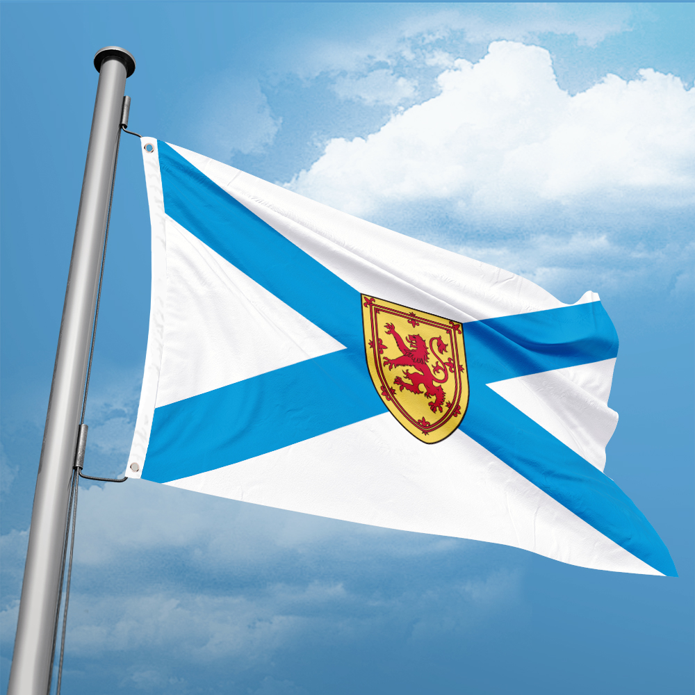 Canada Flag of Nova Scotia 3ft – Nova Decor & Lighting Juletrelys recenzja i cena