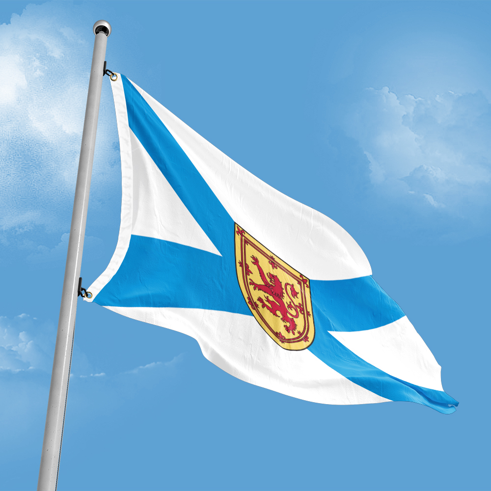 Canada Flag of Nova Scotia 3ft – Nova Decor & Lighting Juletrelys recenzja i cena