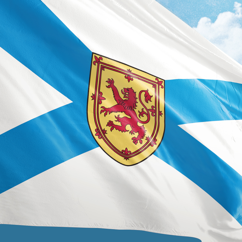 Canada Flag of Nova Scotia 3ft – Nova Decor & Lighting Juletrelys recenzja i cena