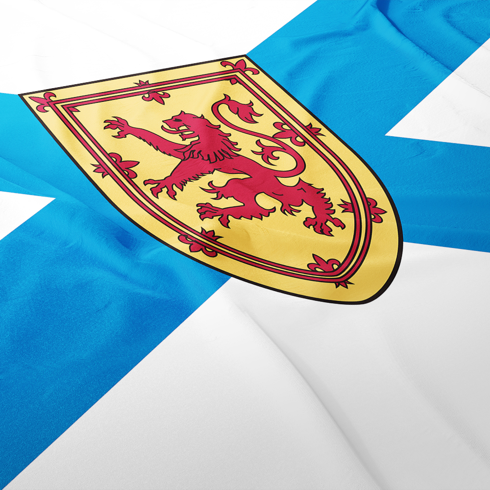 Canada Flag of Nova Scotia 3ft – Nova Decor & Lighting Juletrelys recenzja i cena