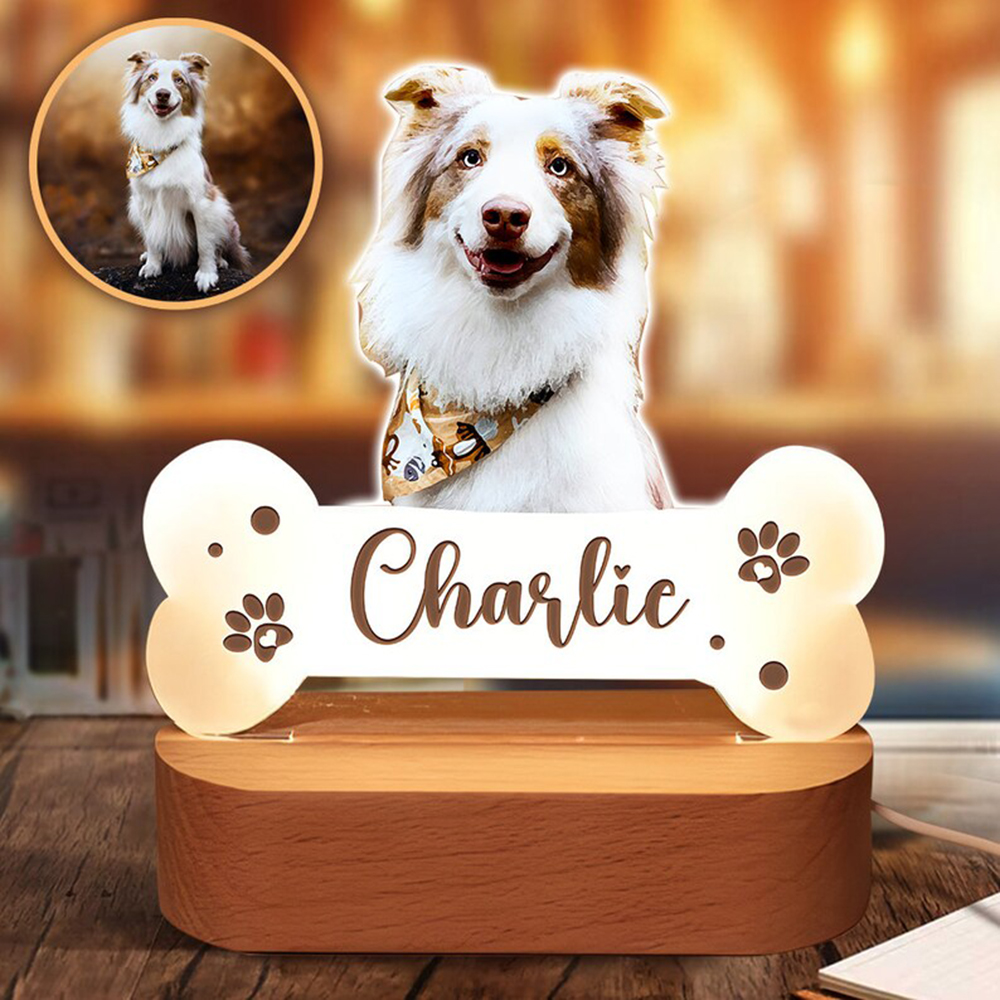 Acrylic Pet Growth Memory Nigh – Lighting Decor Photos recenzja i cena