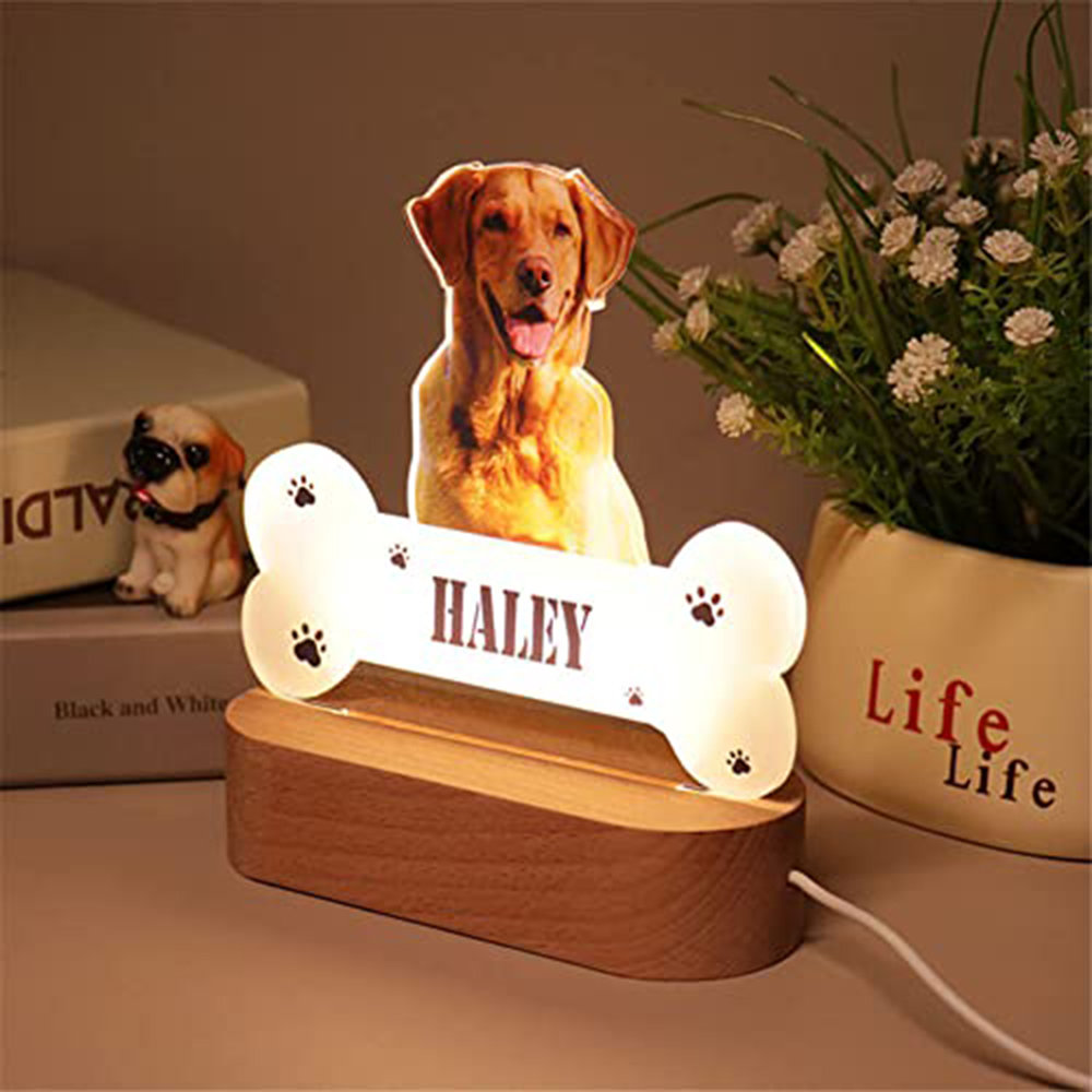 Acrylic Pet Growth Memory Nigh – Lighting Decor Photos recenzja i cena