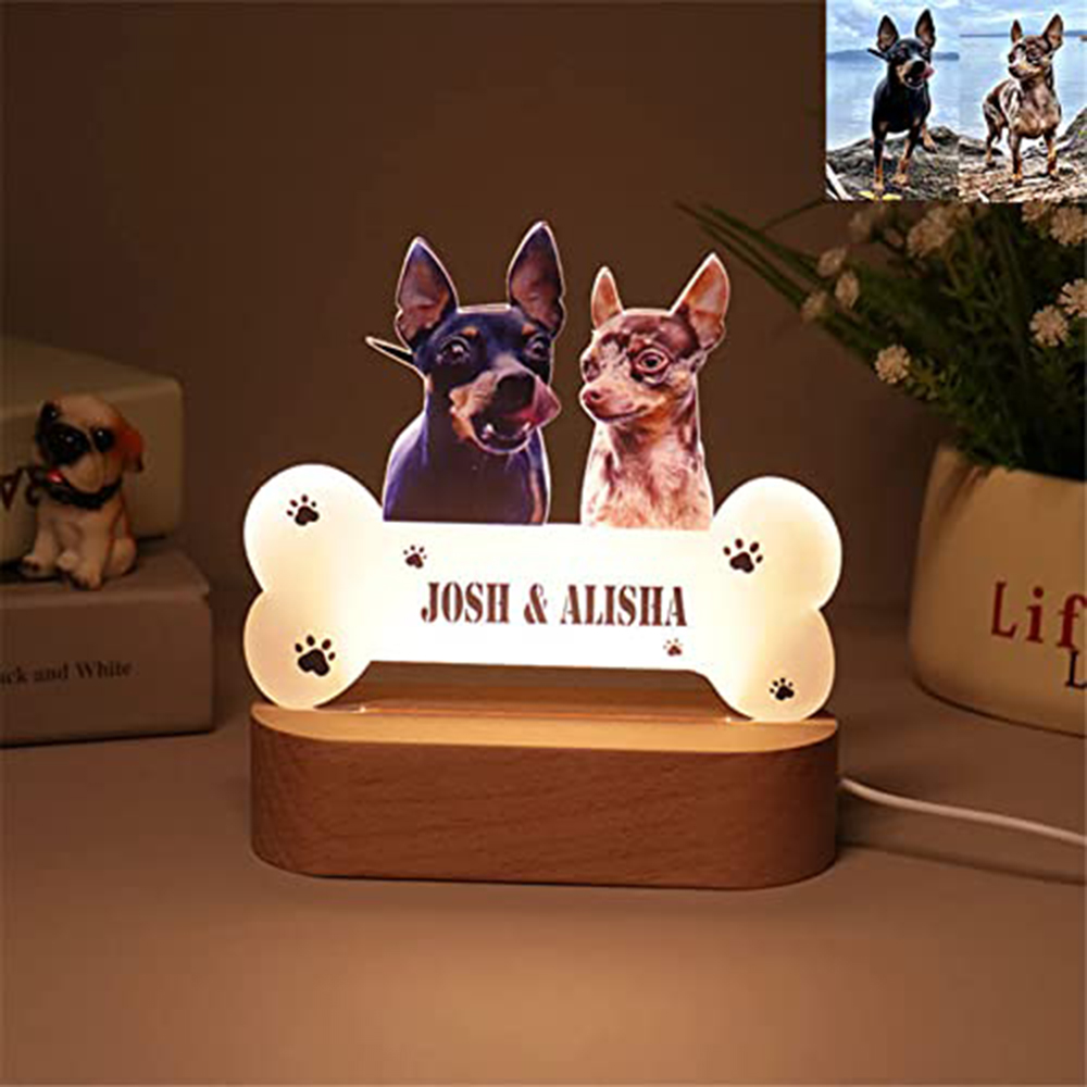 Acrylic Pet Growth Memory Nigh – Lighting Decor Photos recenzja i cena