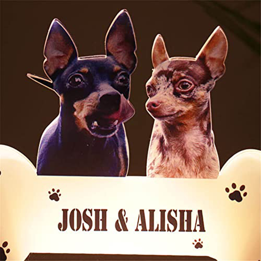 Acrylic Pet Growth Memory Nigh – Lighting Decor Photos recenzja i cena