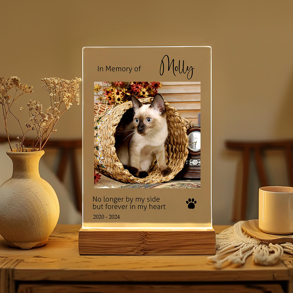 Custom Pet Photo LED Night Lig – Lighting Decor Photos recenzja i cena