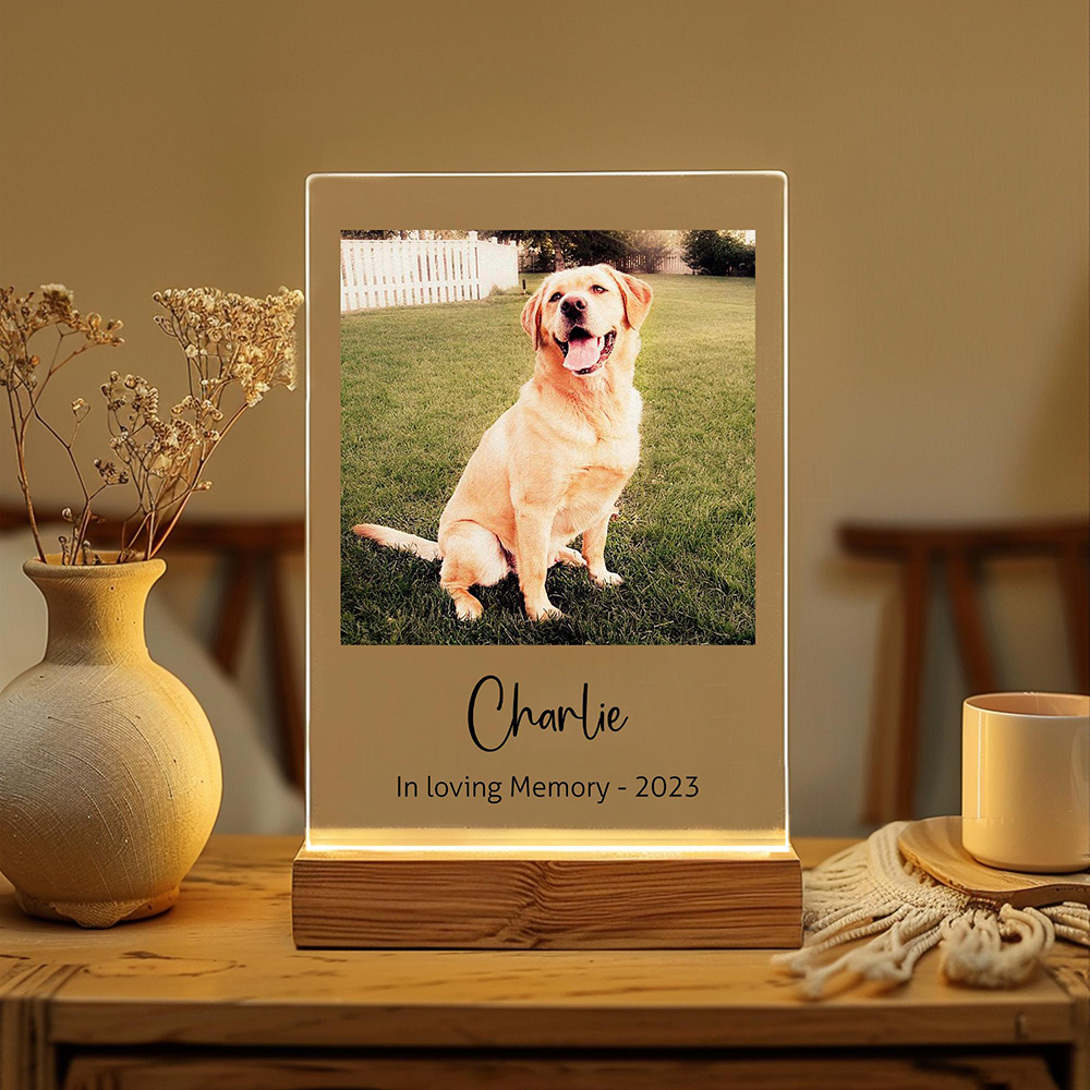 Custom Pet Photo LED Night Lig – Lighting Decor Photos recenzja i cena